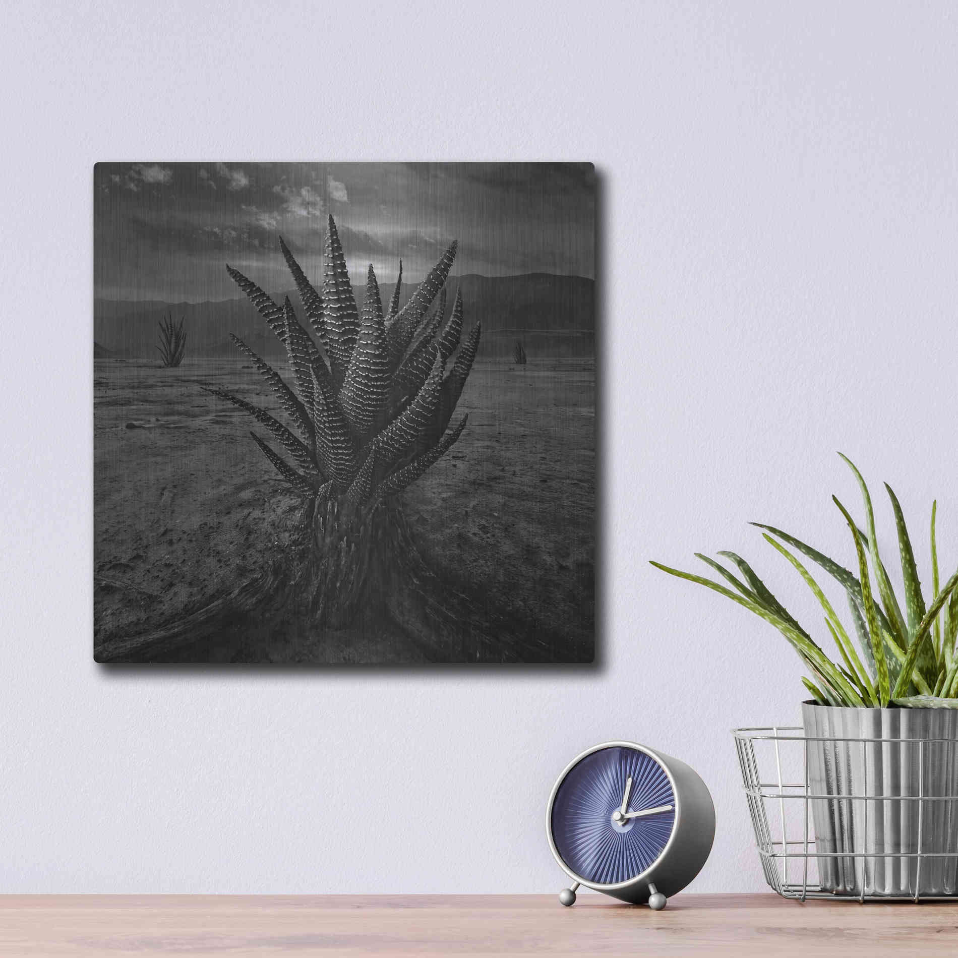 Luxe Metal Art 'Cactus' by Dariusz Klimczak, Metal Wall Art,12x12