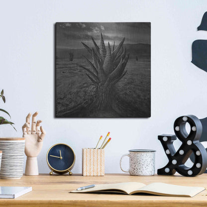 Luxe Metal Art 'Cactus' by Dariusz Klimczak, Metal Wall Art,12x12