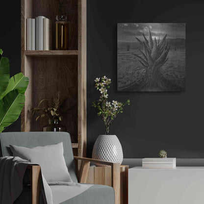 Luxe Metal Art 'Cactus' by Dariusz Klimczak, Metal Wall Art,24x24