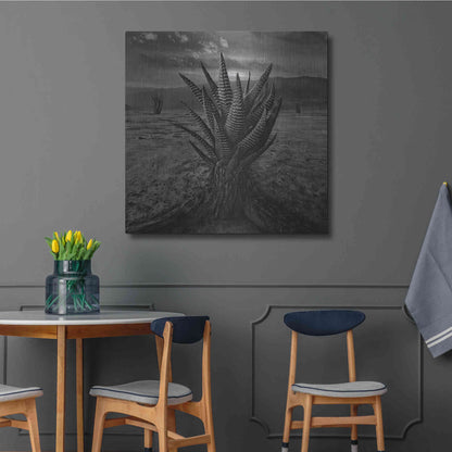 Luxe Metal Art 'Cactus' by Dariusz Klimczak, Metal Wall Art,36x36