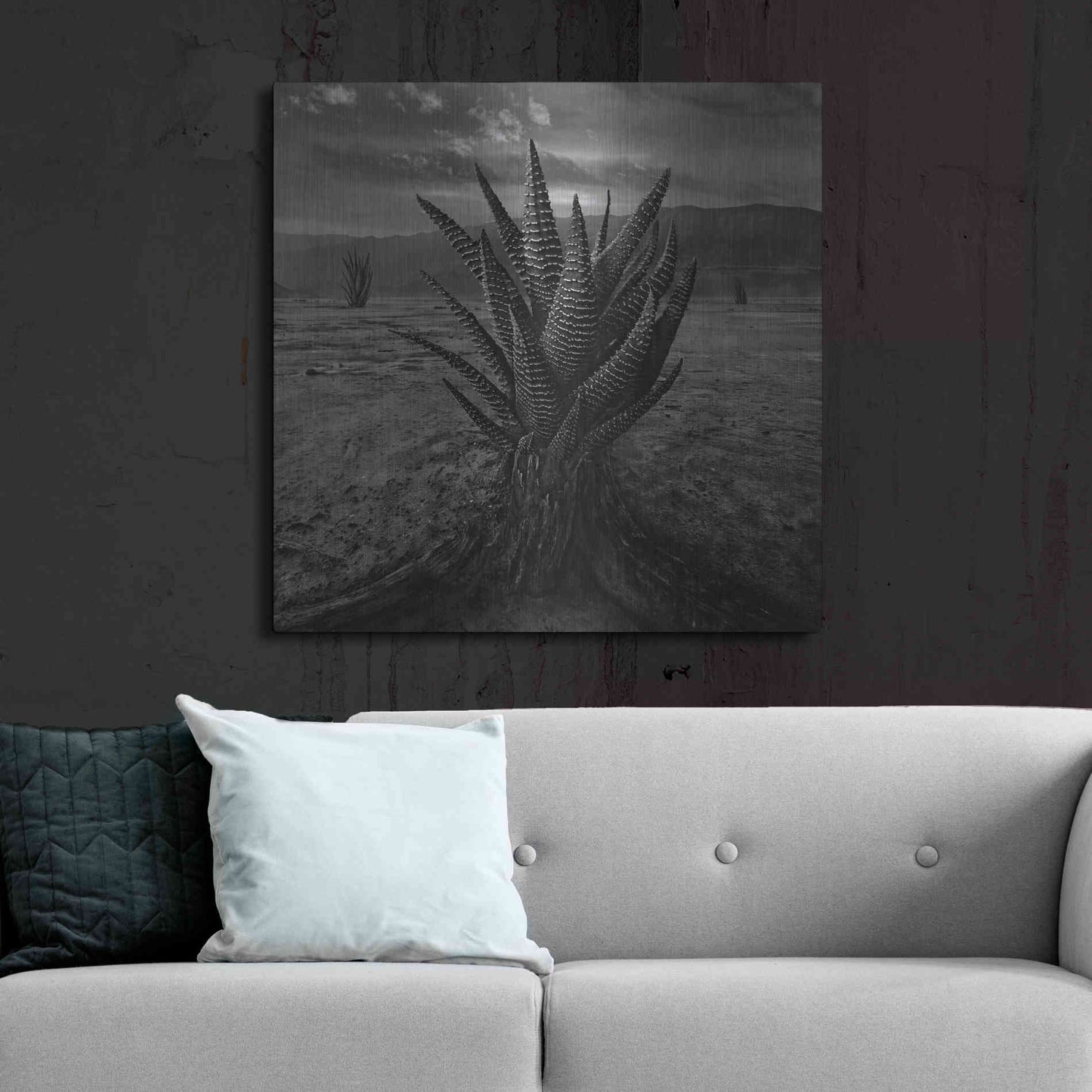 Luxe Metal Art 'Cactus' by Dariusz Klimczak, Metal Wall Art,36x36