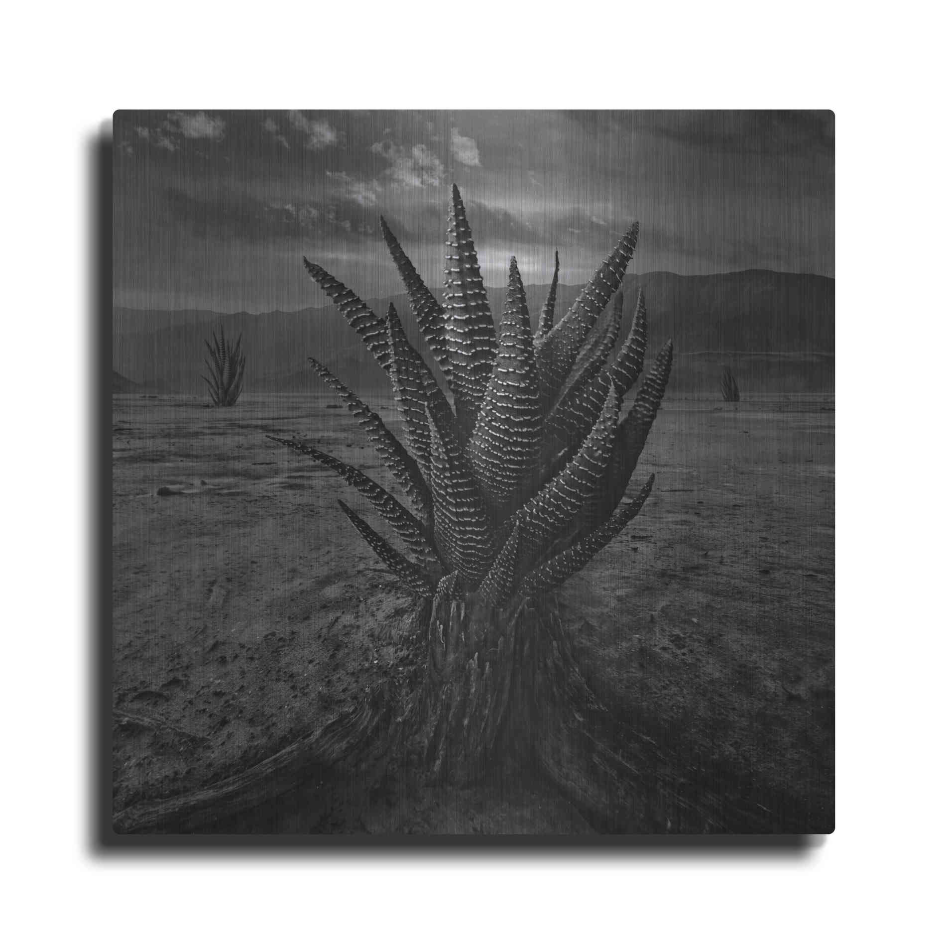 Luxe Metal Art 'Cactus' by Dariusz Klimczak, Metal Wall Art