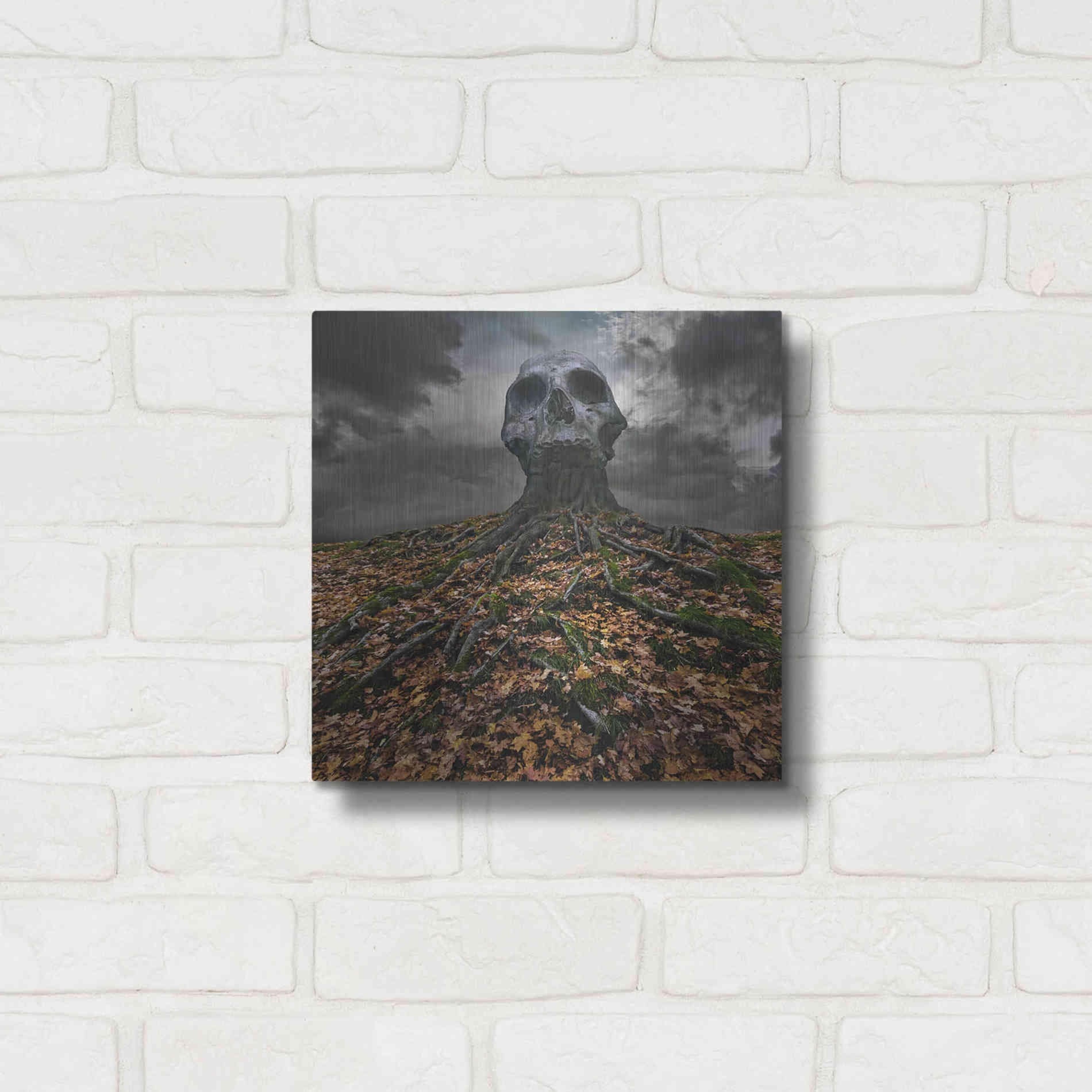 Luxe Metal Art 'Czacha' by Dariusz Klimczak, Metal Wall Art,12x12