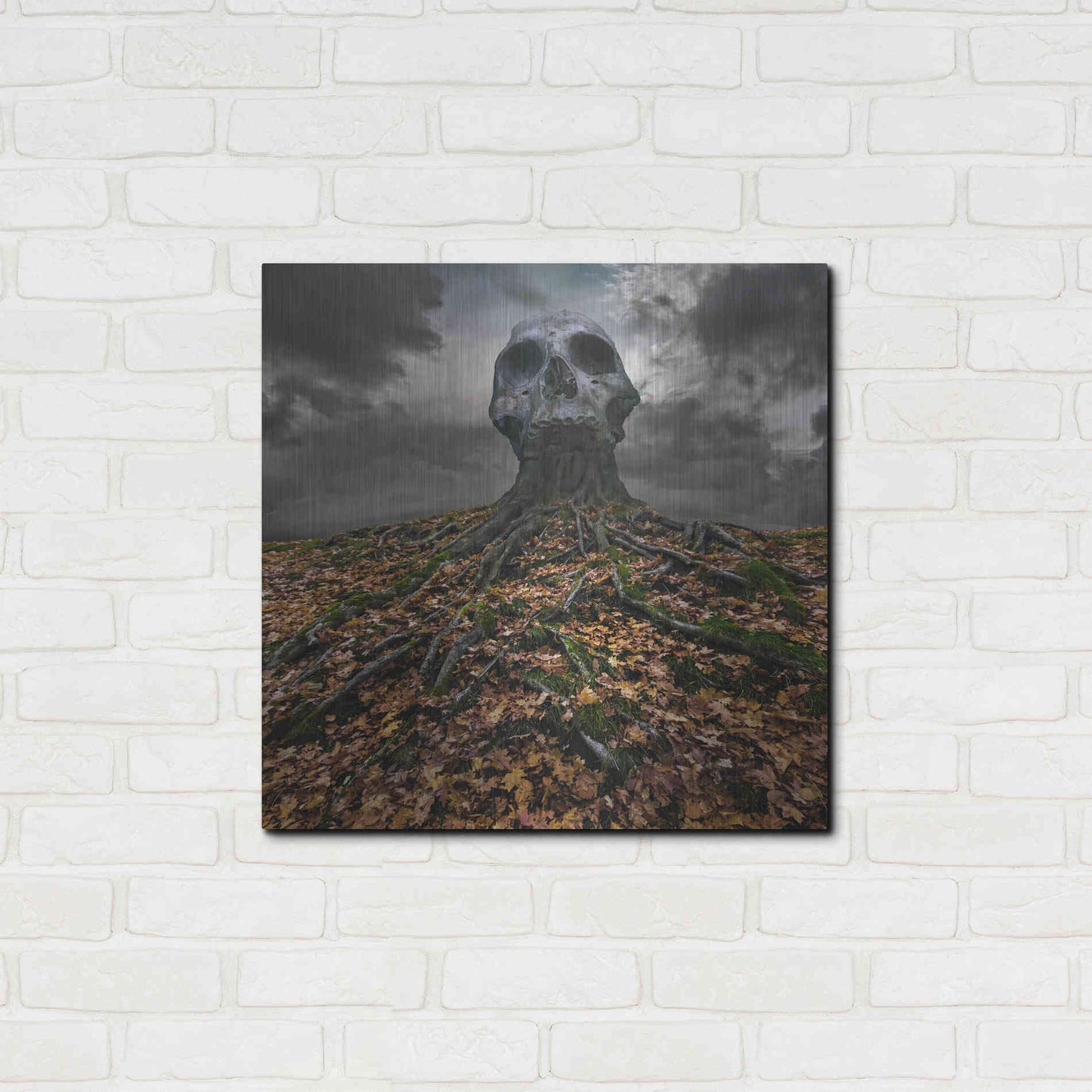 Luxe Metal Art 'Czacha' by Dariusz Klimczak, Metal Wall Art,24x24