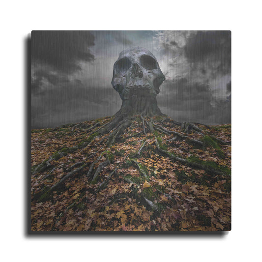 Luxe Metal Art 'Czacha' by Dariusz Klimczak, Metal Wall Art