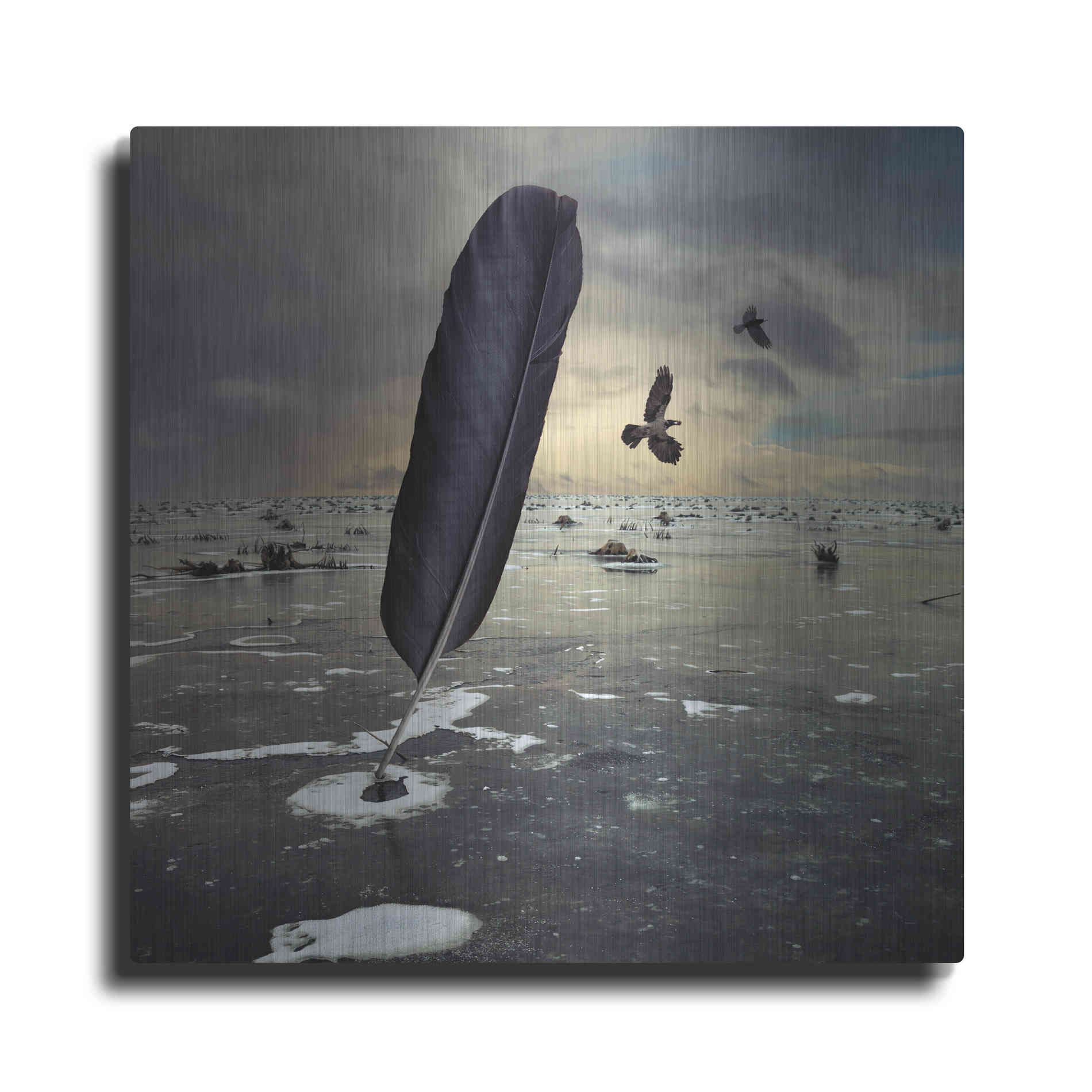 Luxe Metal Art 'Featherland' by Dariusz Klimczak, Metal Wall Art