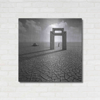 Luxe Metal Art 'Gatekeeper' by Dariusz Klimczak, Metal Wall Art,36x36