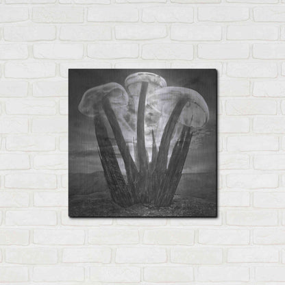 Luxe Metal Art 'Meduzalem' by Dariusz Klimczak, Metal Wall Art,24x24