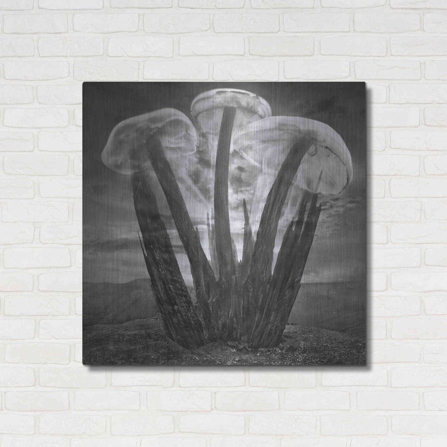 Luxe Metal Art 'Meduzalem' by Dariusz Klimczak, Metal Wall Art,36x36