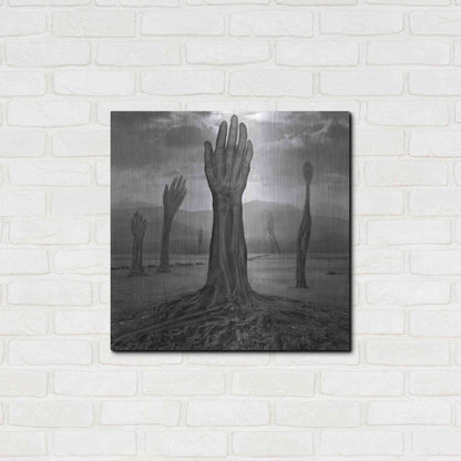 Luxe Metal Art 'Rentgen' by Dariusz Klimczak, Metal Wall Art,24x24