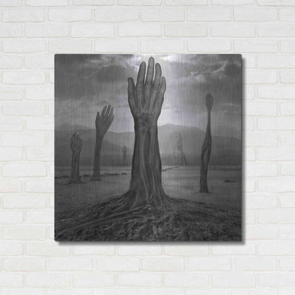 Luxe Metal Art 'Rentgen' by Dariusz Klimczak, Metal Wall Art,36x36