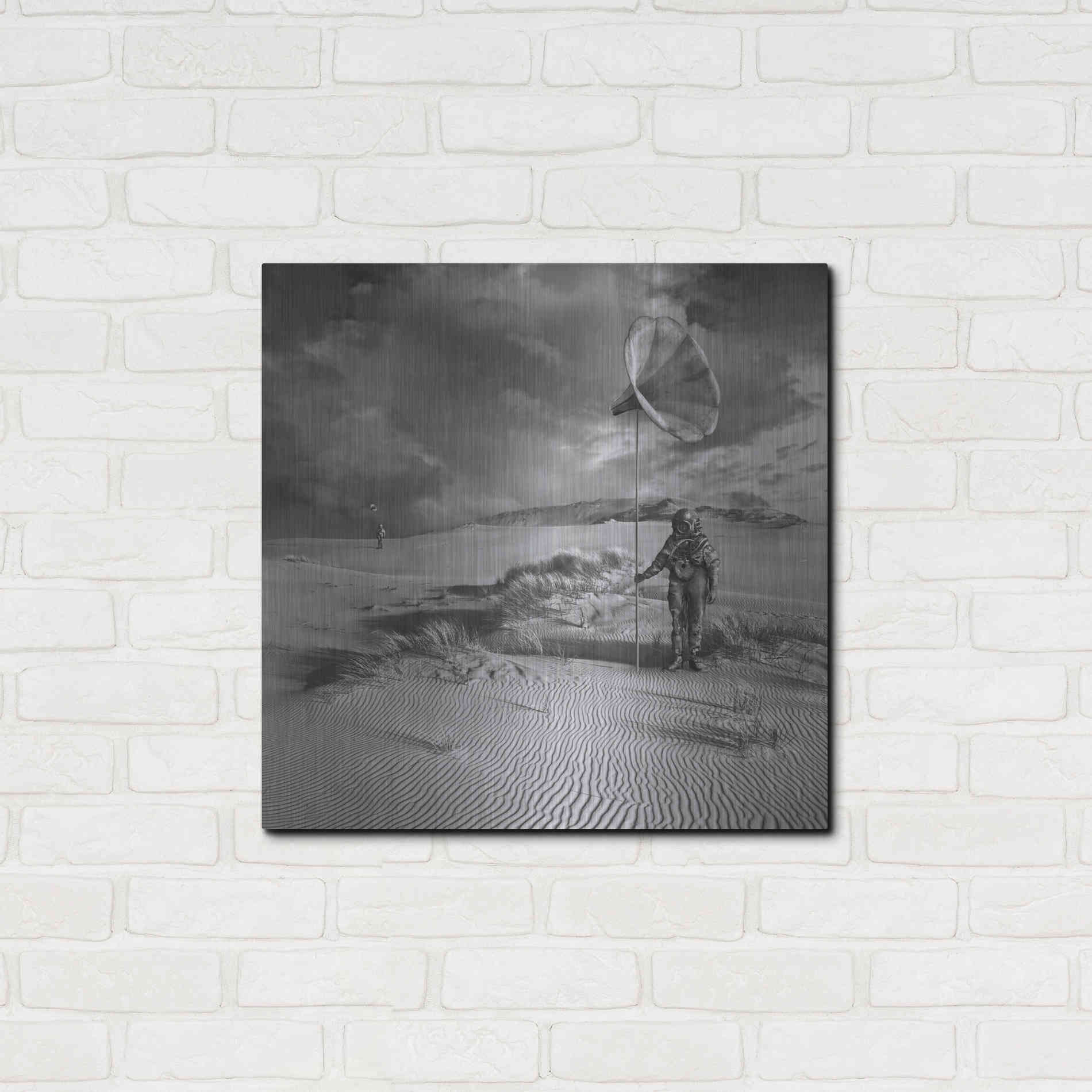 Luxe Metal Art 'Argonauci' by Dariusz Klimczak, Metal Wall Art,24x24