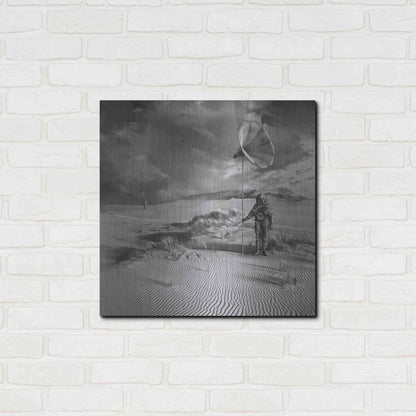 Luxe Metal Art 'Argonauci' by Dariusz Klimczak, Metal Wall Art,24x24
