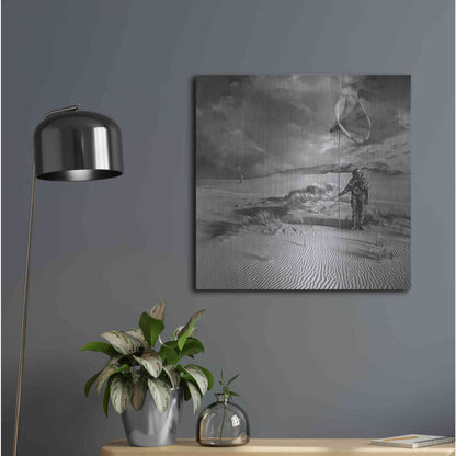 Luxe Metal Art 'Argonauci' by Dariusz Klimczak, Metal Wall Art,24x24