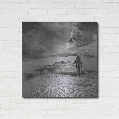 Luxe Metal Art 'Argonauci' by Dariusz Klimczak, Metal Wall Art,36x36
