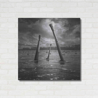 Luxe Metal Art 'Artland' by Dariusz Klimczak, Metal Wall Art,36x36