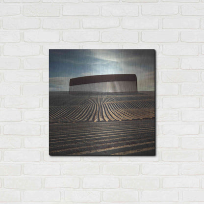 Luxe Metal Art 'Combing The Field' by Dariusz Klimczak, Metal Wall Art,24x24