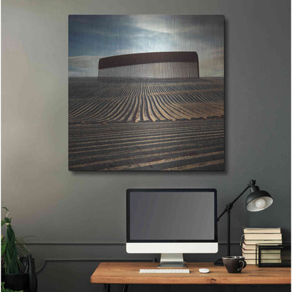 Luxe Metal Art 'Combing The Field' by Dariusz Klimczak, Metal Wall Art,36x36