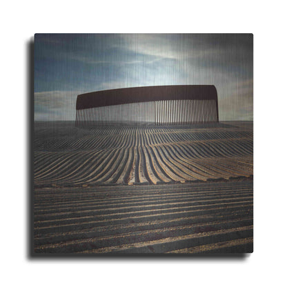 Luxe Metal Art 'Combing The Field' by Dariusz Klimczak, Metal Wall Art