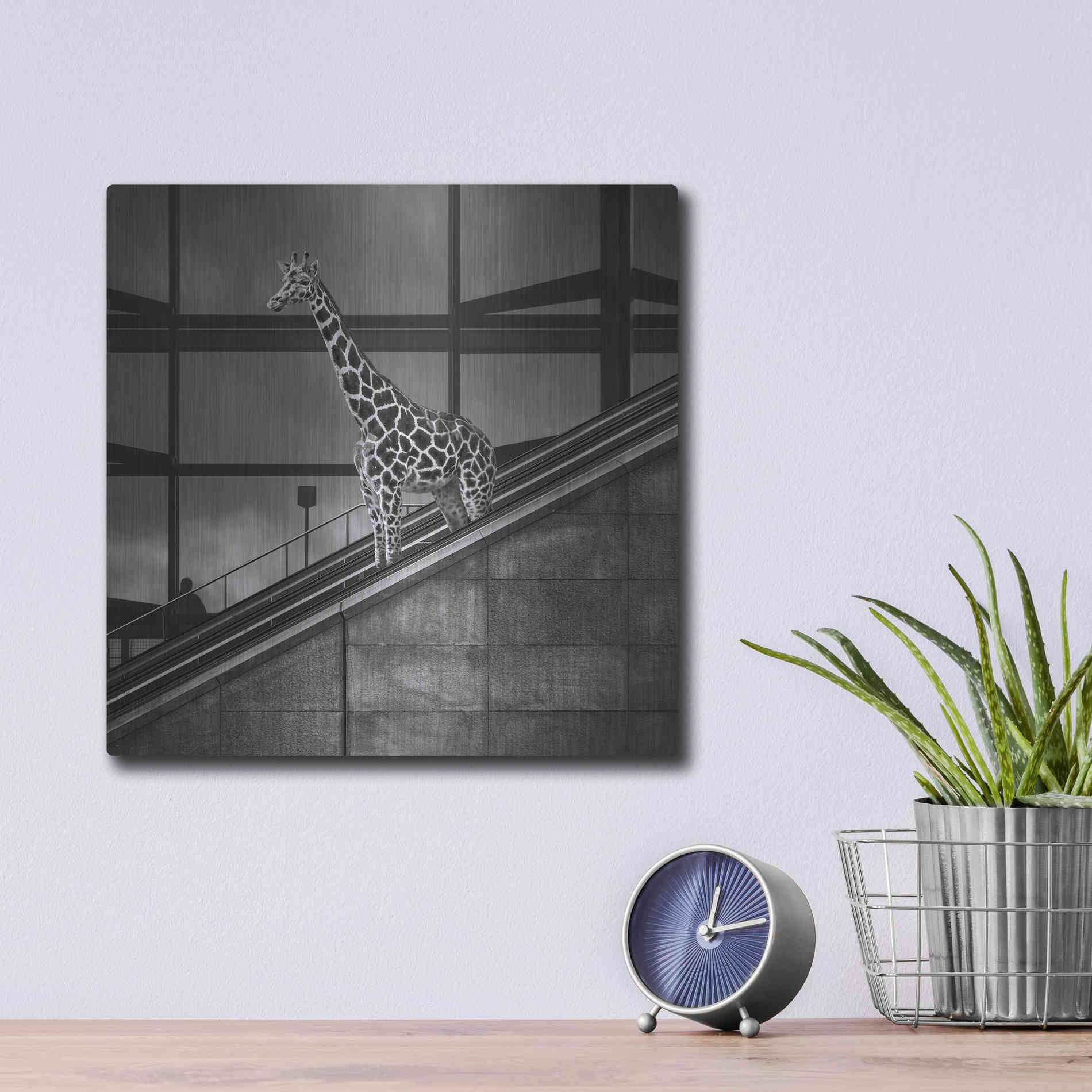 Luxe Metal Art 'Downstairs' by Dariusz Klimczak, Metal Wall Art,12x12