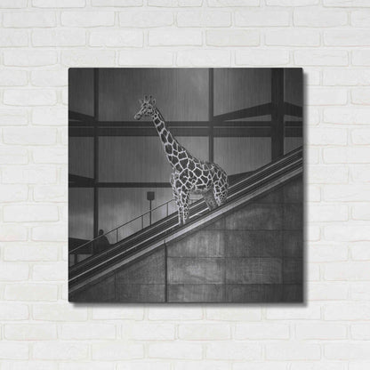 Luxe Metal Art 'Downstairs' by Dariusz Klimczak, Metal Wall Art,36x36