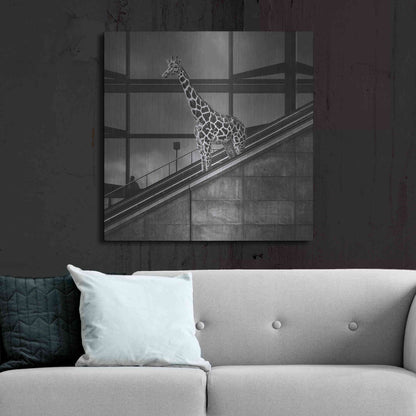 Luxe Metal Art 'Downstairs' by Dariusz Klimczak, Metal Wall Art,36x36