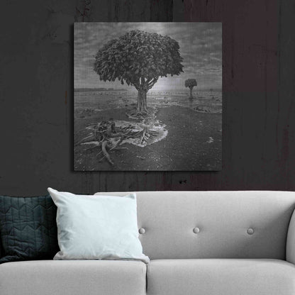 Luxe Metal Art 'Trees' by Dariusz Klimczak, Metal Wall Art,36x36