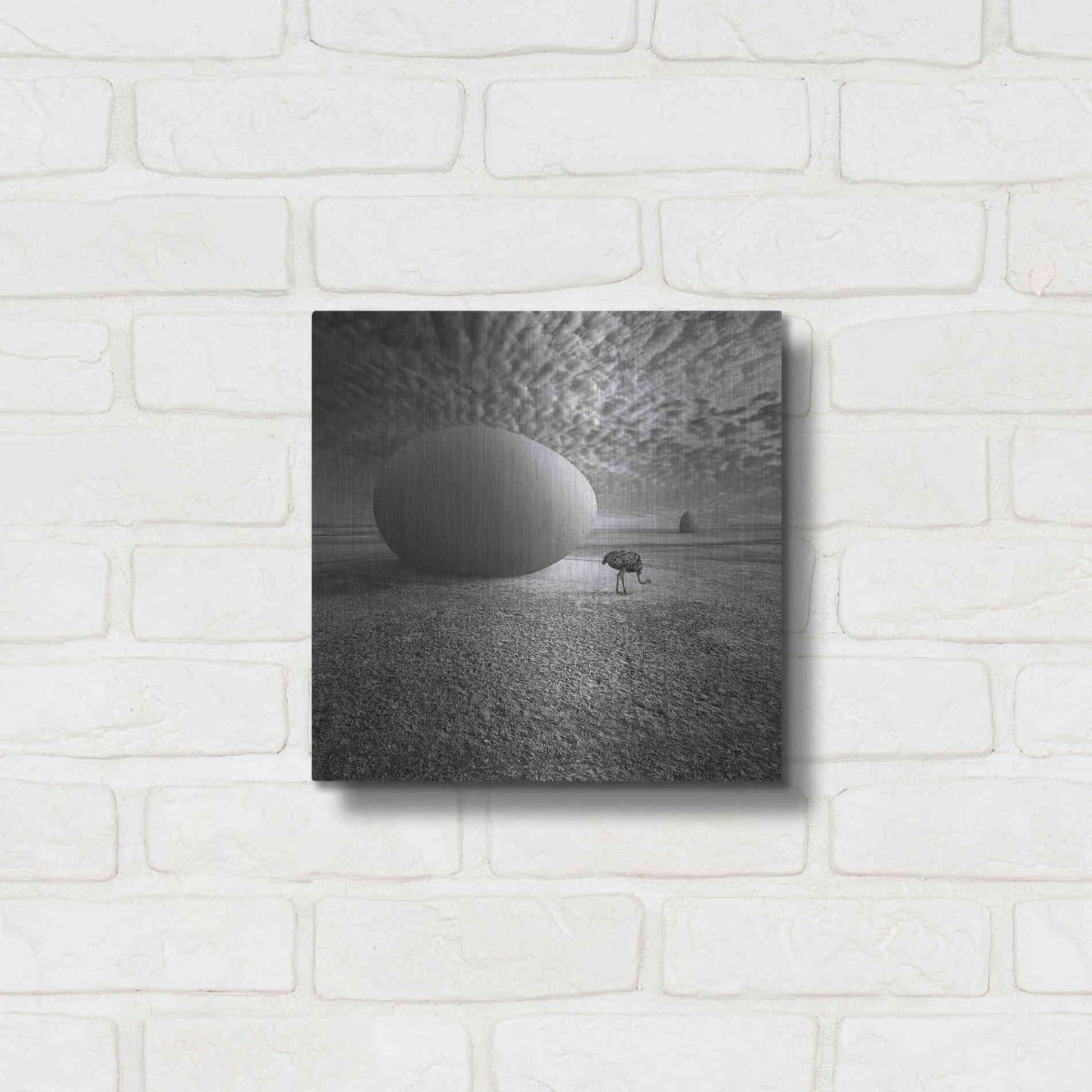 Luxe Metal Art 'EggO' by Dariusz Klimczak, Metal Wall Art,12x12