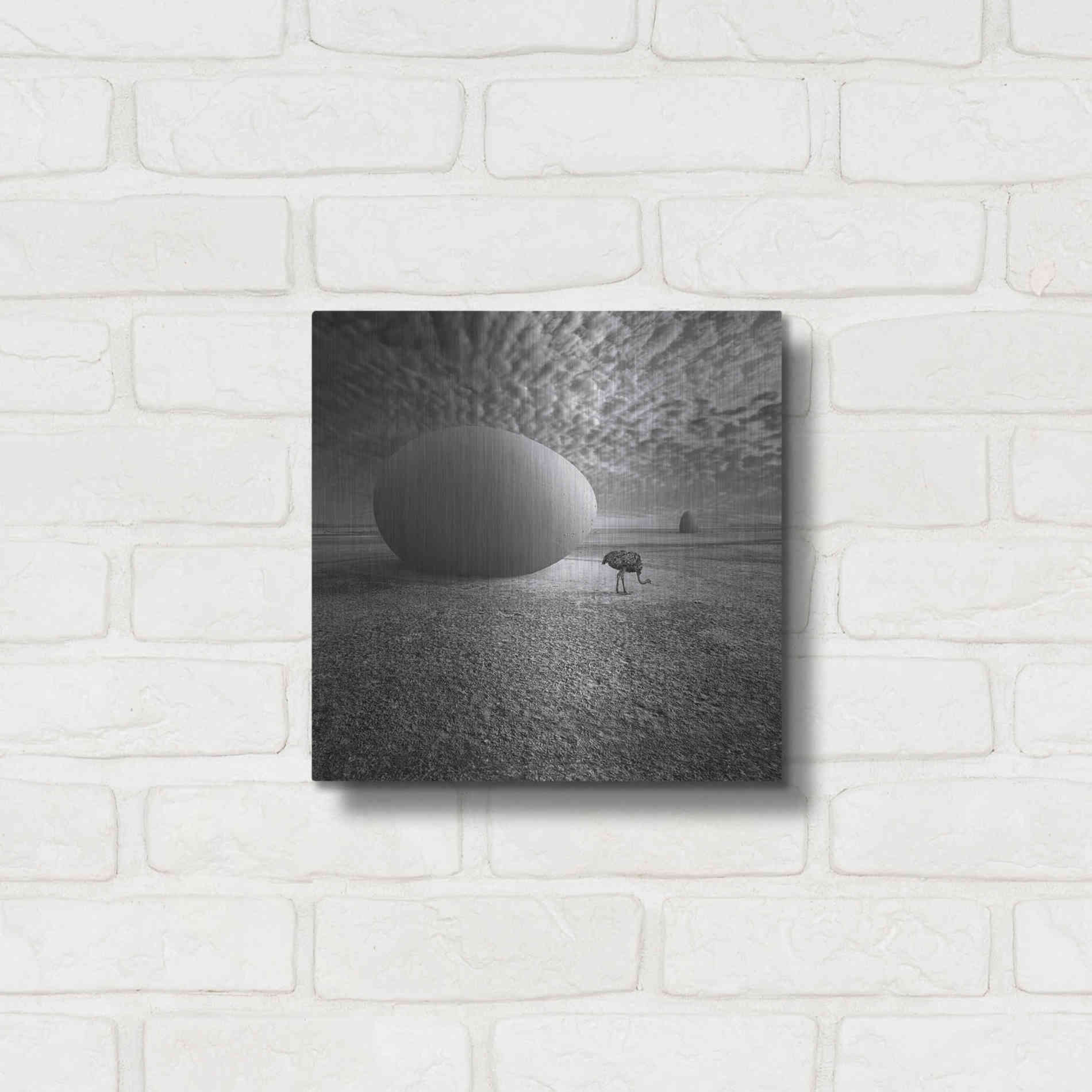 Luxe Metal Art 'EggO' by Dariusz Klimczak, Metal Wall Art,12x12