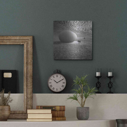 Luxe Metal Art 'EggO' by Dariusz Klimczak, Metal Wall Art,12x12