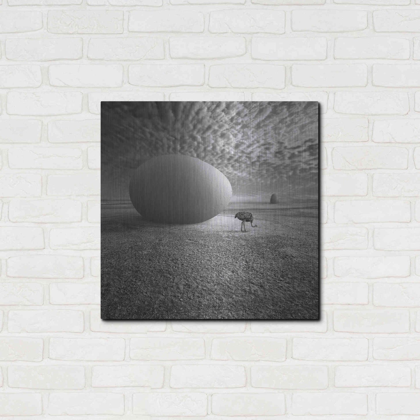 Luxe Metal Art 'EggO' by Dariusz Klimczak, Metal Wall Art,24x24