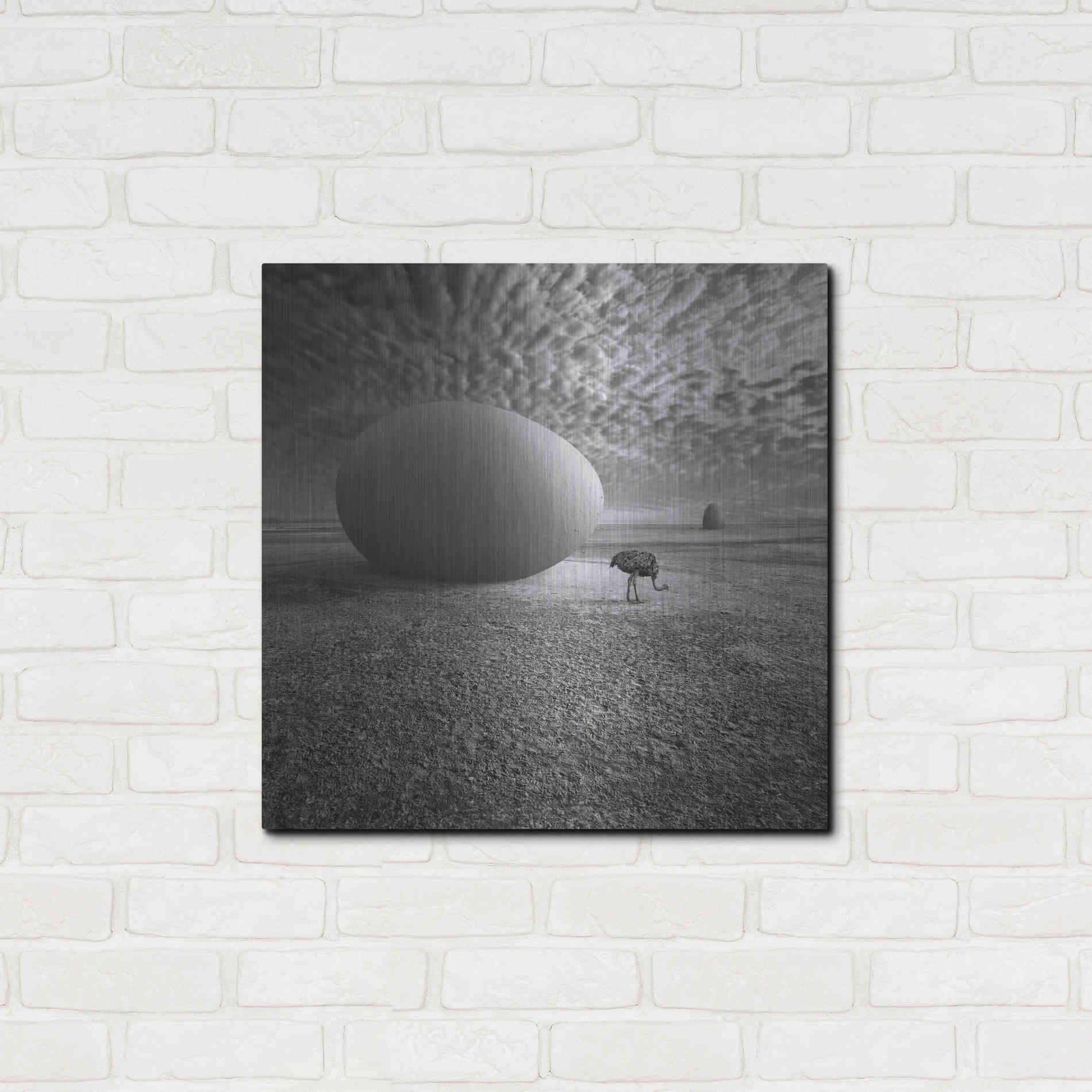 Luxe Metal Art 'EggO' by Dariusz Klimczak, Metal Wall Art,24x24