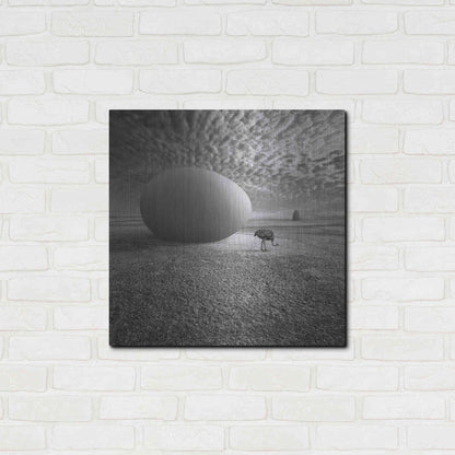 Luxe Metal Art 'EggO' by Dariusz Klimczak, Metal Wall Art,24x24