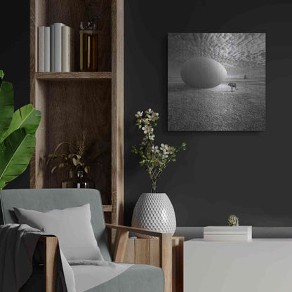 Luxe Metal Art 'EggO' by Dariusz Klimczak, Metal Wall Art,24x24