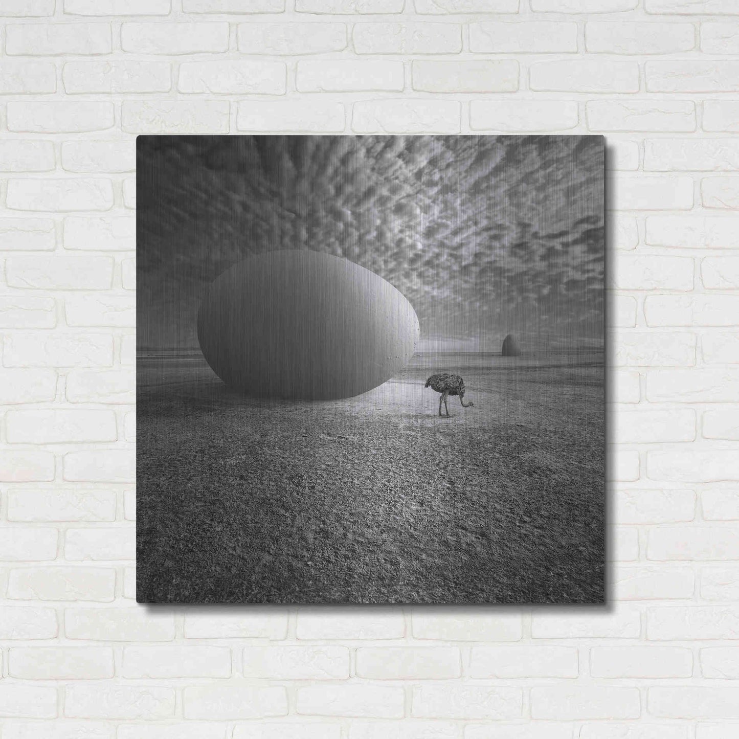 Luxe Metal Art 'EggO' by Dariusz Klimczak, Metal Wall Art,36x36