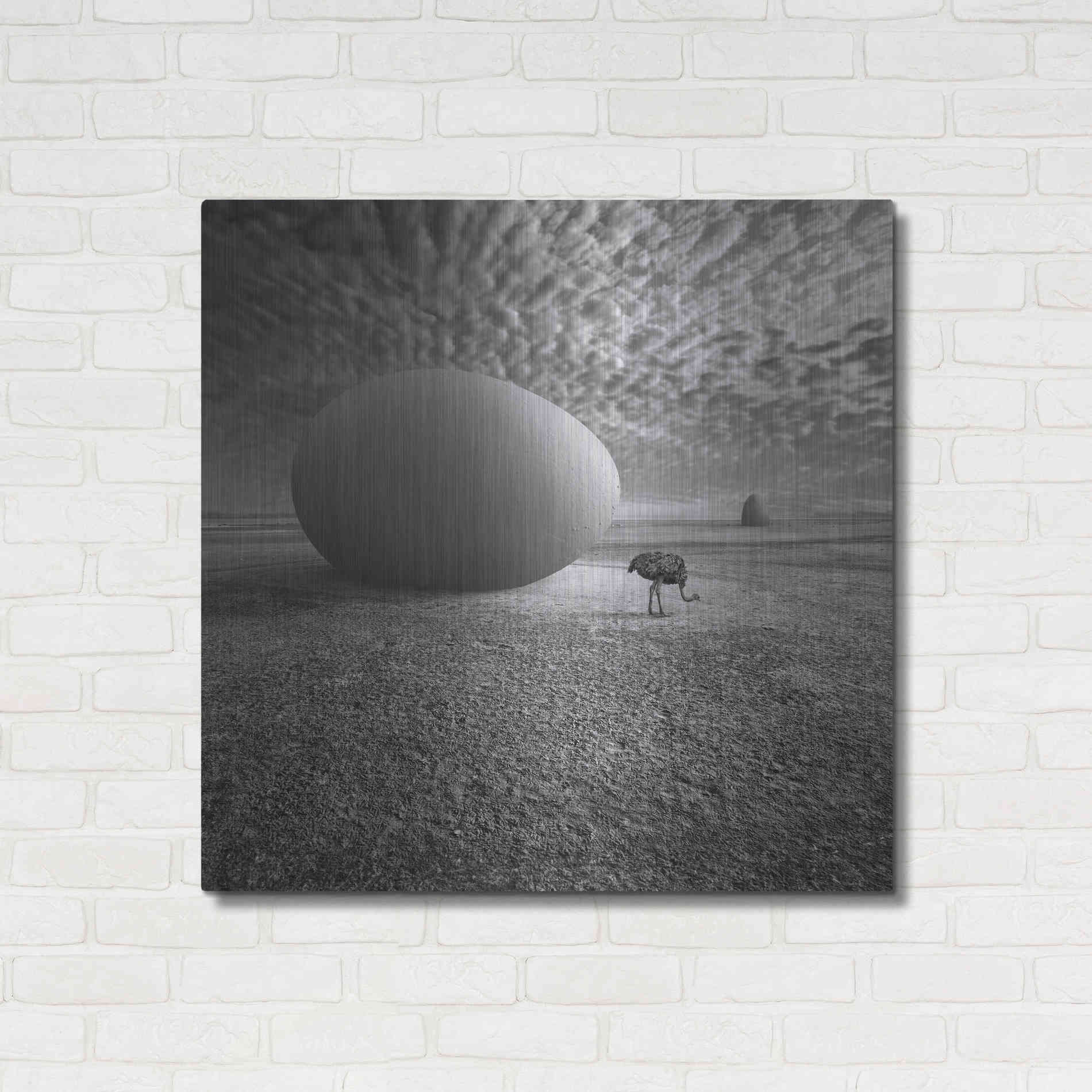 Luxe Metal Art 'EggO' by Dariusz Klimczak, Metal Wall Art,36x36
