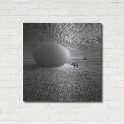 Luxe Metal Art 'EggO' by Dariusz Klimczak, Metal Wall Art,36x36