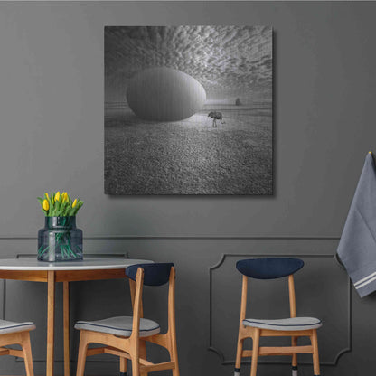 Luxe Metal Art 'EggO' by Dariusz Klimczak, Metal Wall Art,36x36