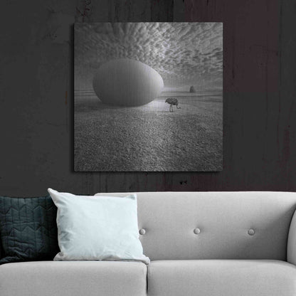 Luxe Metal Art 'EggO' by Dariusz Klimczak, Metal Wall Art,36x36
