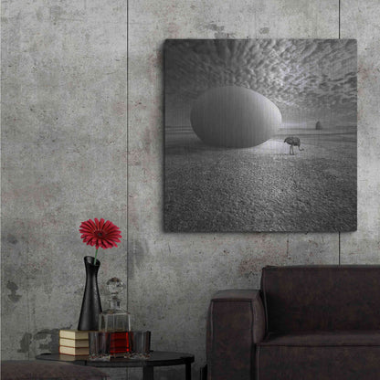 Luxe Metal Art 'EggO' by Dariusz Klimczak, Metal Wall Art,36x36