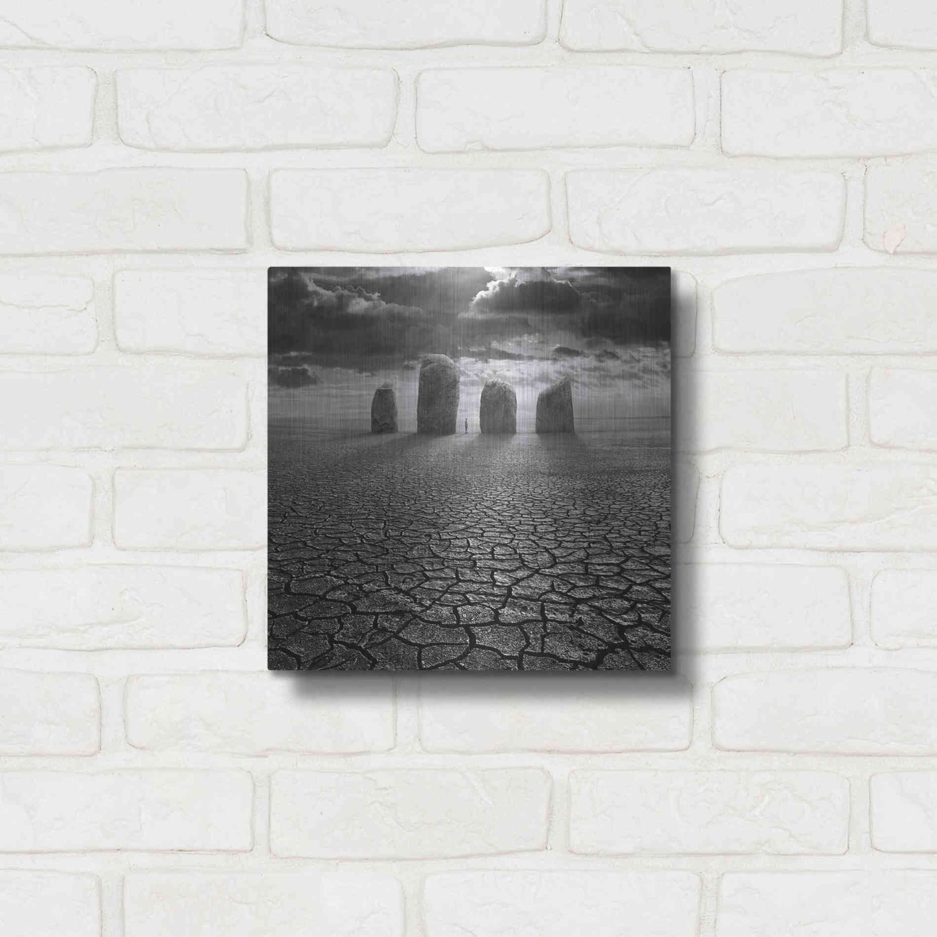 Luxe Metal Art 'Guardian' by Dariusz Klimczak, Metal Wall Art,12x12