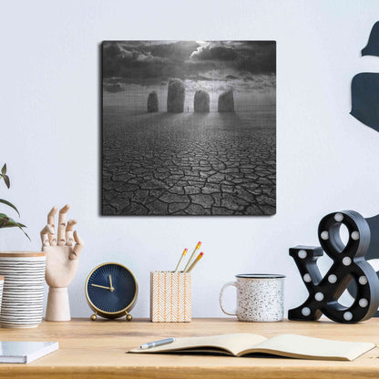Luxe Metal Art 'Guardian' by Dariusz Klimczak, Metal Wall Art,12x12