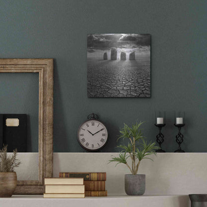 Luxe Metal Art 'Guardian' by Dariusz Klimczak, Metal Wall Art,12x12