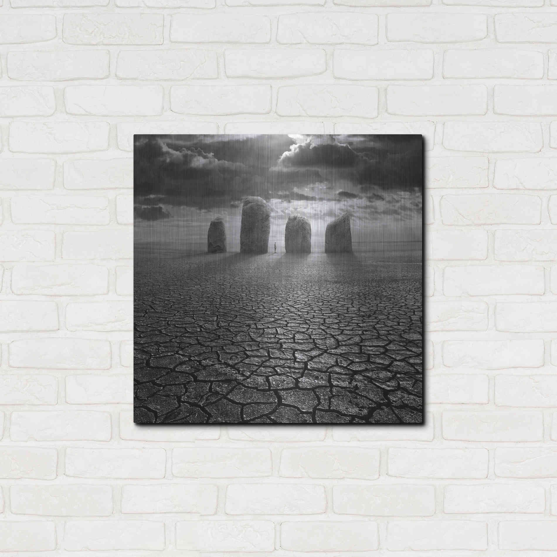 Luxe Metal Art 'Guardian' by Dariusz Klimczak, Metal Wall Art,24x24
