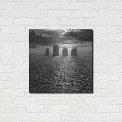 Luxe Metal Art 'Guardian' by Dariusz Klimczak, Metal Wall Art,24x24