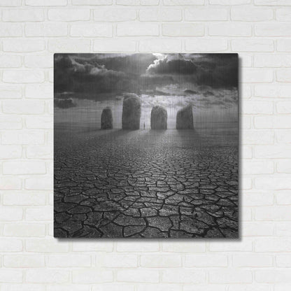 Luxe Metal Art 'Guardian' by Dariusz Klimczak, Metal Wall Art,36x36