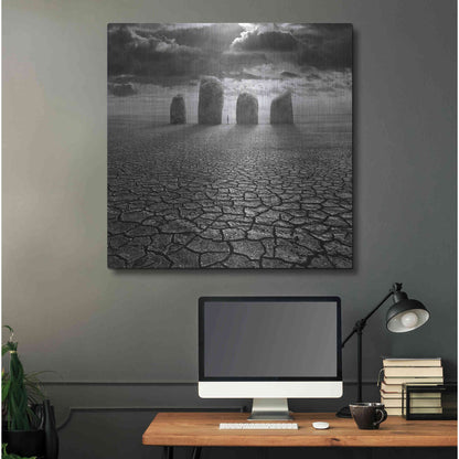 Luxe Metal Art 'Guardian' by Dariusz Klimczak, Metal Wall Art,36x36