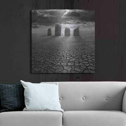Luxe Metal Art 'Guardian' by Dariusz Klimczak, Metal Wall Art,36x36