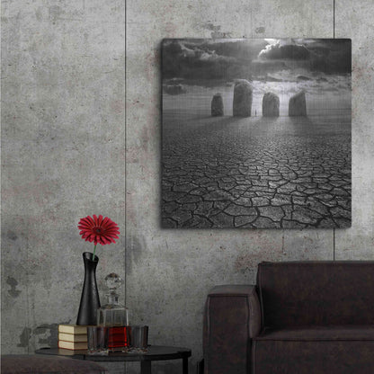 Luxe Metal Art 'Guardian' by Dariusz Klimczak, Metal Wall Art,36x36