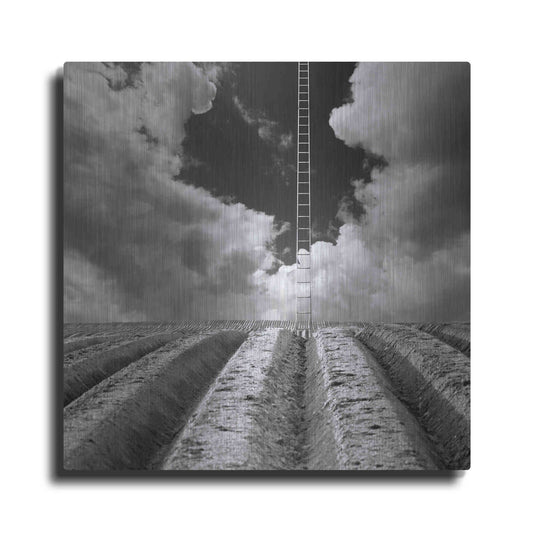 Luxe Metal Art 'Jacob's Ladder' by Dariusz Klimczak, Metal Wall Art